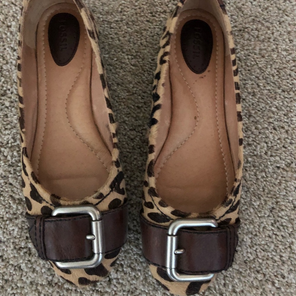 Fossil leopard flats.